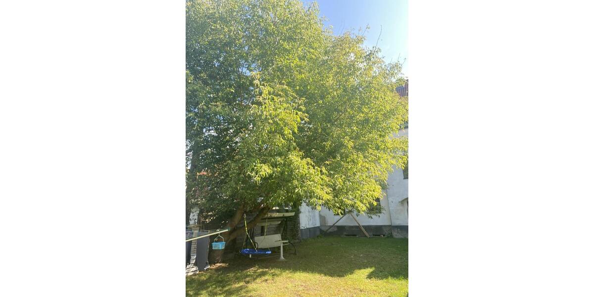 Etagenwohnung Fürstenwalde (Spree) - 2 Zimmer, 64 m&sup2;, 800&euro; | Angebot:26448913