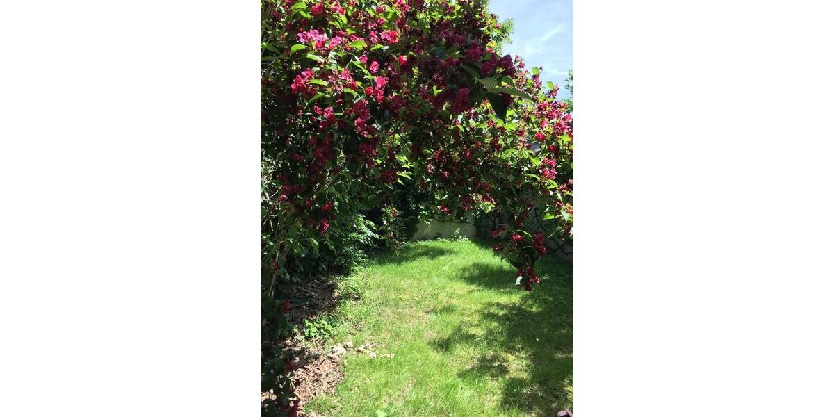 Einfamilienhaus Bonn Gielgen - 5 Zimmer, 24 m&sup2;, 465&euro; | Angebot:25053914