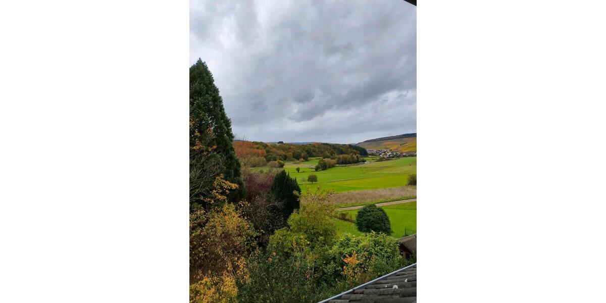 Dachgeschoßwohnung Saarburg - 3 Zimmer, 88 m&sup2;, 690&euro; | Angebot:24778290