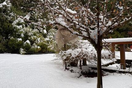 4 Zimmer Haus in Altenhagen Springe 4 zimmer