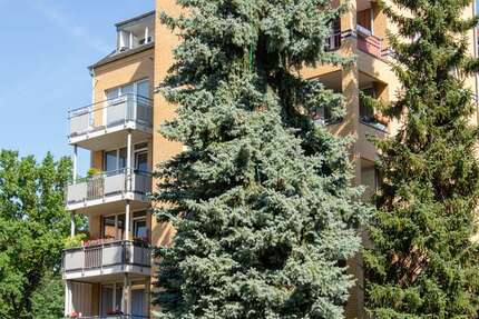 Wohnung zum Mieten in Chemnitz 380,73 € 55.99 m² 2 zimmer