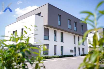 Wohnung zum Mieten in Leinefelde-Worbis 1.300 € 136 m² 4 zimmer