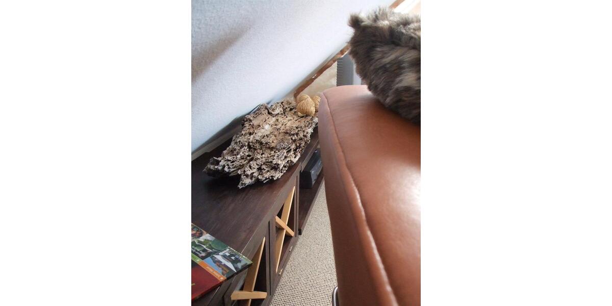 Etagenwohnung Darmstadt Bessungen - 1 Zimmer, 25 m&sup2;, 835&euro; | Angebot:25845357