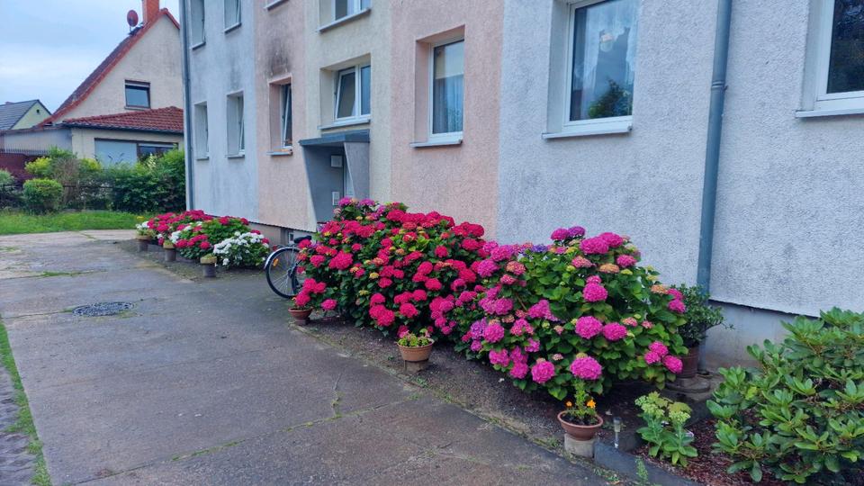 2-Zimmer in Garz 3 zimmer