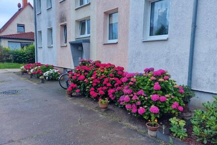 Wohnung Fehrbellin - 3 Zimmer, 50 m&sup2;, 350&euro; | Angebot:24583501