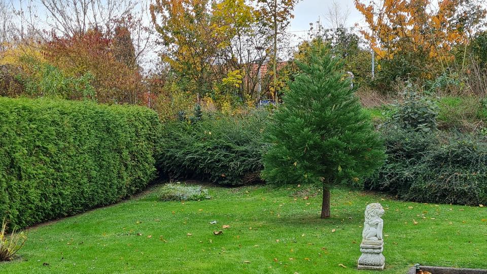 Dachgeschoßwohnung Vellmar - 2.5 Zimmer, 56 m&sup2;, 620&euro; | Angebot:25022418