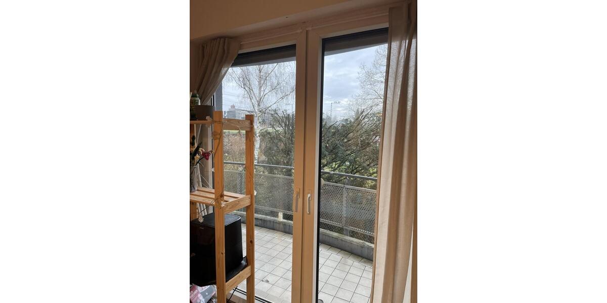 Hochparterre Geisenheim - 1 Zimmer, 18 m&sup2;, 320&euro; | Angebot:24771283