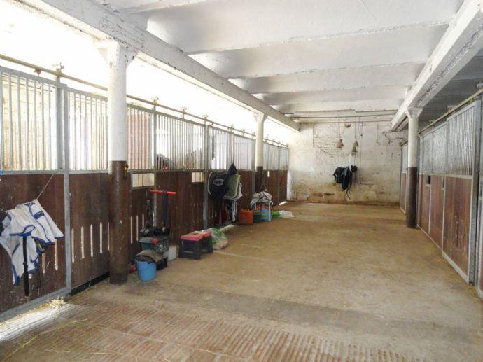 Erdgeschoßwohnung Schauenburg - 2 Zimmer, 60 m&sup2;, 430&euro; | Angebot:26523249