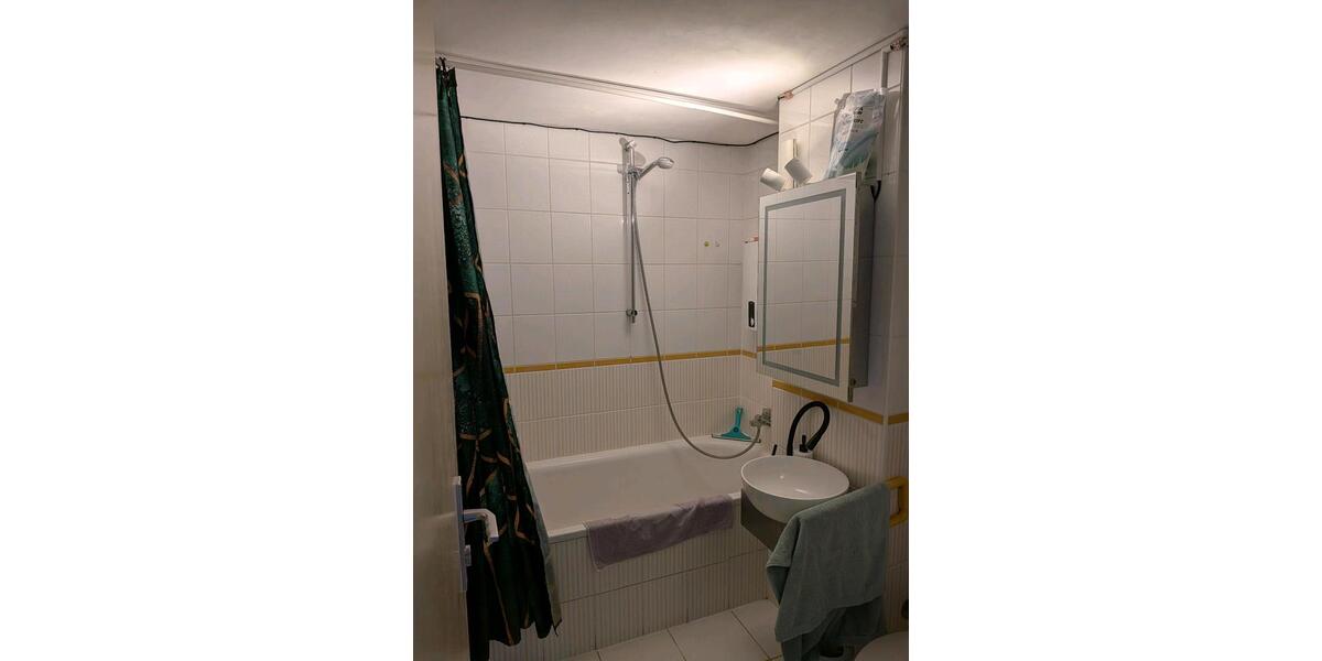 Wohnen auf Zeit Darmstadt - 1 Zimmer, 22 m&sup2;, 560&euro; | Angebot:26677597