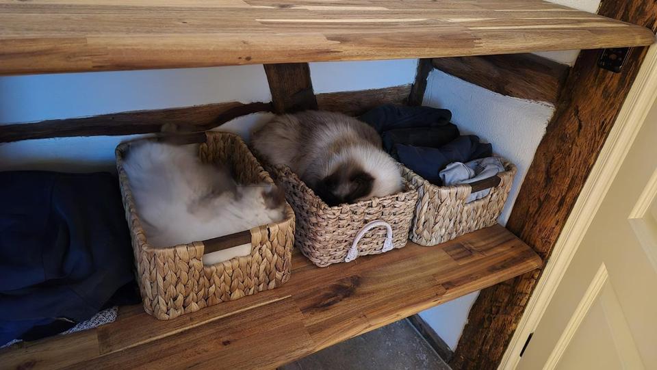 Wohnen auf Zeit Hagen Hagen-Nord - 3 Zimmer, 36 m&sup2;, 500&euro; | Angebot:25821116