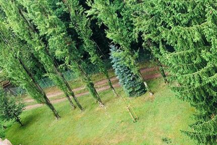 Wohnung Saarbrücken Dudweiler - 1 Zimmer, 31 m&sup2;, 360&euro; | Angebot:24837153