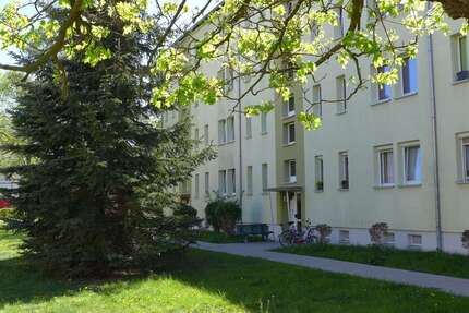 Wohnung zum Mieten in Borna 272 € 45.3 m² 2 zimmer