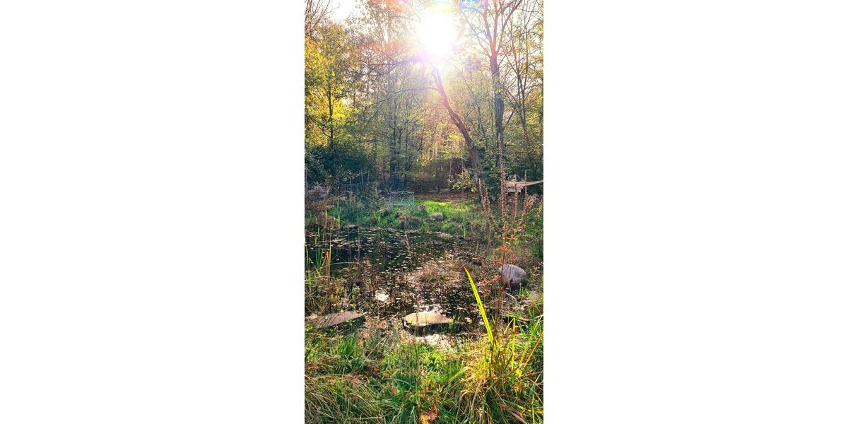 Wohnen auf Zeit Schönborn - 3 Zimmer, 115 m&sup2;, 900&euro; | Angebot:24722805