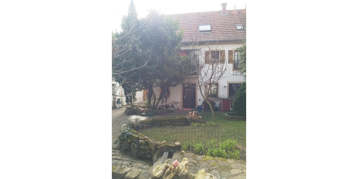 Erdgeschoßwohnung Kindenheim - 1 Zimmer, 34 m&sup2;, 255&euro; | Angebot:25516757