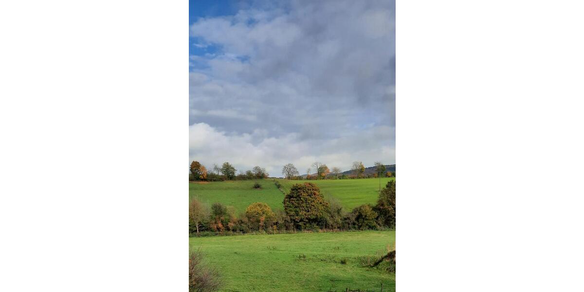 3ZKB Balkon Idylle pur Aussichtslage Hofanlage ,gute Anbindung 3 zimmer