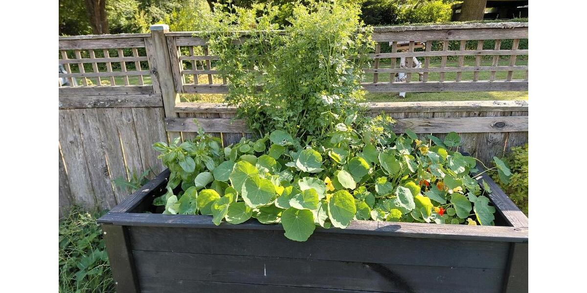 Doppelhaushälfte in Aachen-Bildchen mit Garten und Garage 3 zimmer