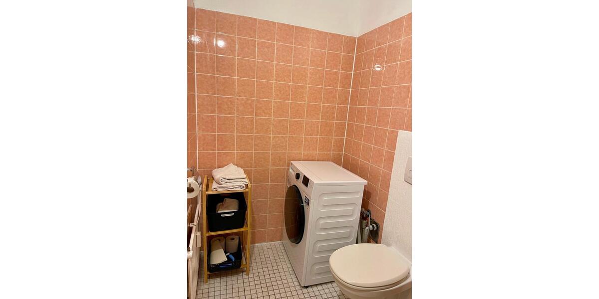 Wohnen auf Zeit Wiesbaden Biebrich - 3 Zimmer, 95 m&sup2;, 29&euro; | Angebot:24572958