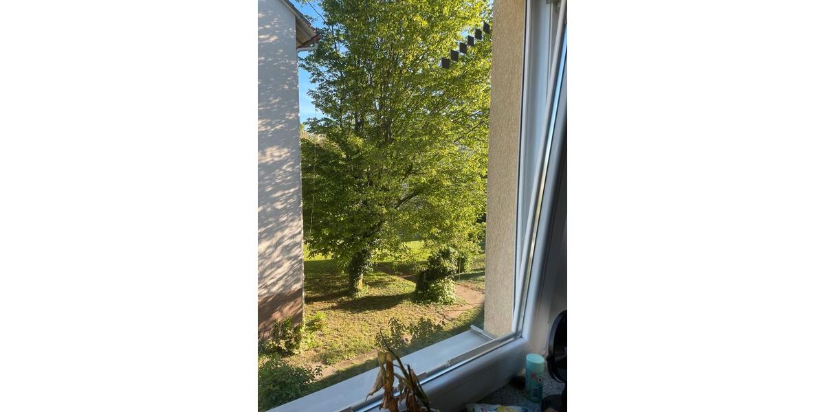 Wohnen auf Zeit Eppelheim - 1 Zimmer, 12 m&sup2;, 470&euro; | Angebot:26268202