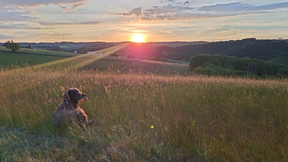 Dachgeschoßwohnung Lauterecken - 2 Zimmer, 60 m&sup2;, 360&euro; | Angebot:25246104