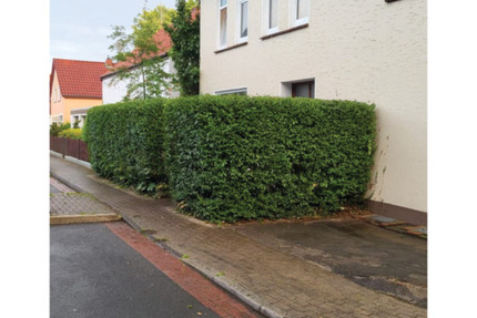 Wohnung Bremen Blumenthal - 4 Zimmer, 105 m&sup2;, 1.150&euro; | Angebot:24748797