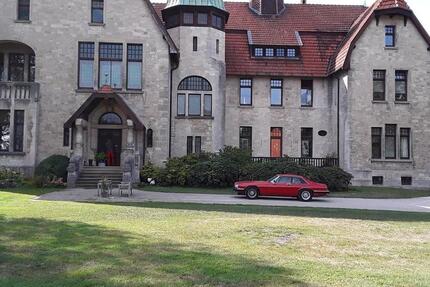 Wohnung Ribbesbüttel - 2 Zimmer, 86 m&sup2;, 980&euro; | Angebot:25083597