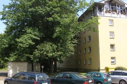 4710728 Geräumige 1-Zimmer-Wohnung in Düsseldorf-Mörsenbroich 1 zimmer