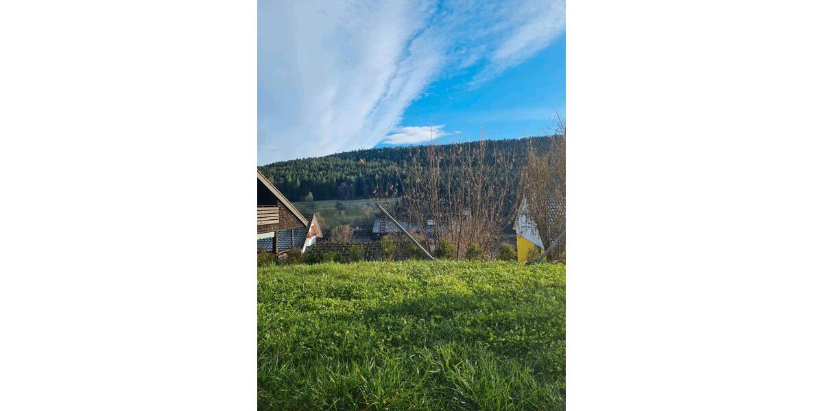 Erdgeschoßwohnung Waldachtal - 5 Zimmer, 100 m&sup2;, 1.000&euro; | Angebot:25852592