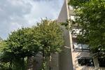 Etagenwohnung Grünstadt - 2 Zimmer, 75 m&sup2;, 895&euro; | Angebot:26678991