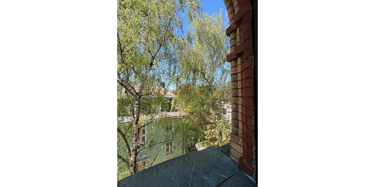 Wohnen auf Zeit Wiesbaden Biebrich - 1 Zimmer, 95 m&sup2;, 650&euro; | Angebot:26584515