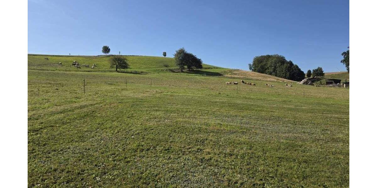 Zimmer Niederstriegis Grunau - 3 Zimmer, 57 m&sup2;, 199&euro; | Angebot:25749151