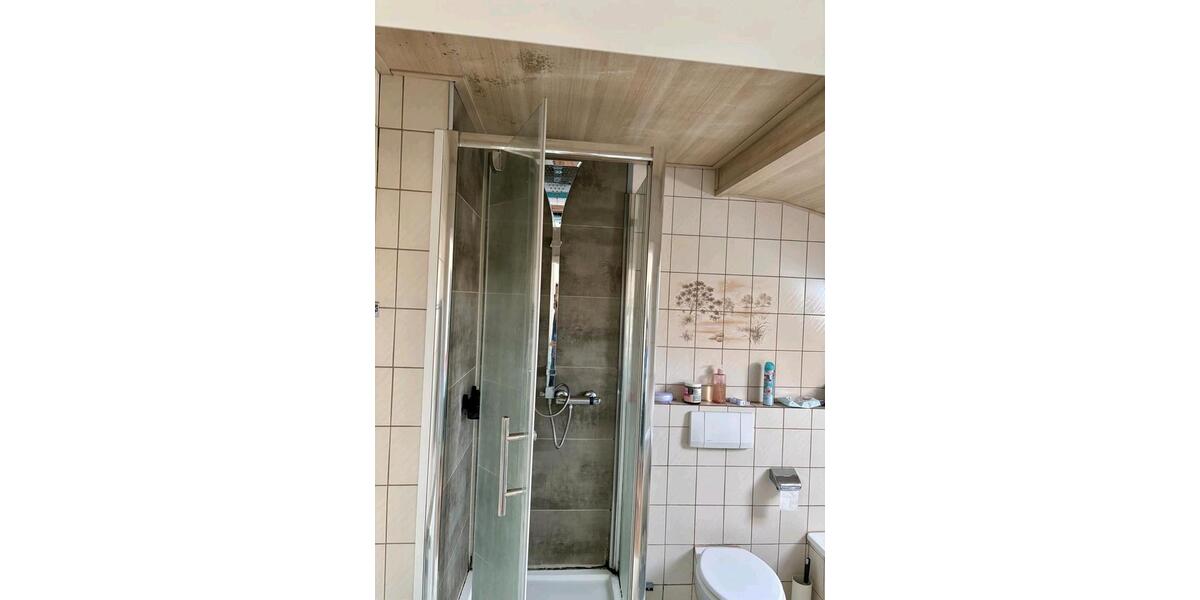 Wohnen auf Zeit Saarbrücken West - 1 Zimmer, 20 m&sup2;, 370&euro; | Angebot:25906354