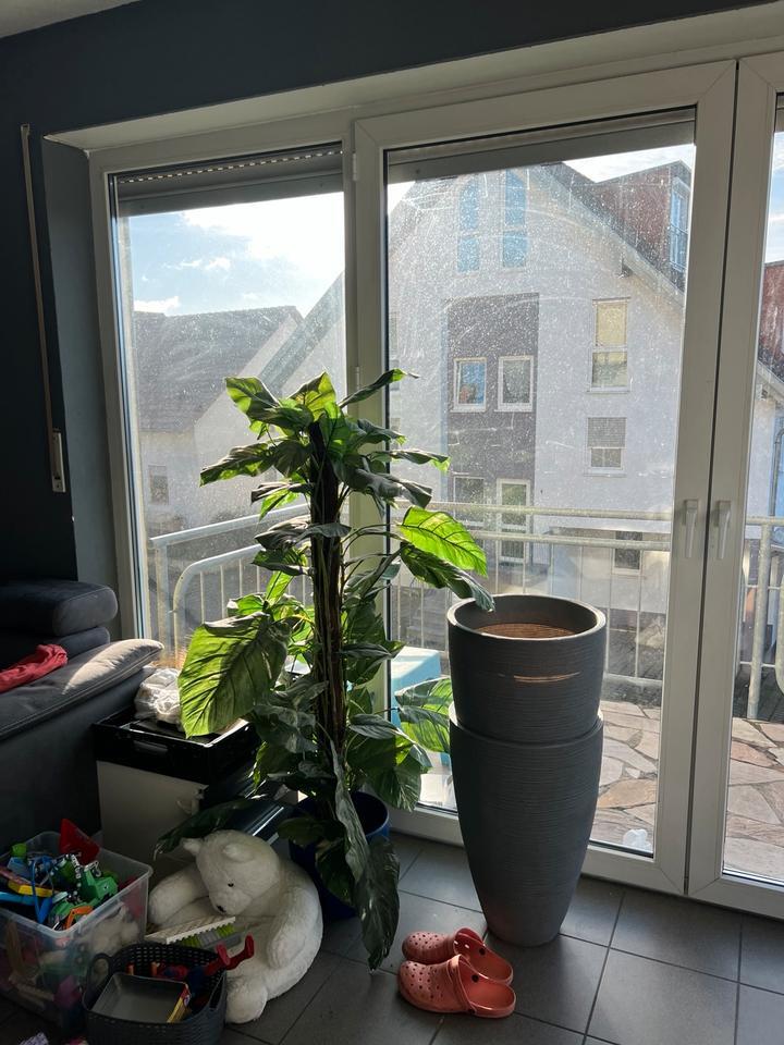 Schöne helle 3 Zimmer Wohnung zimmer