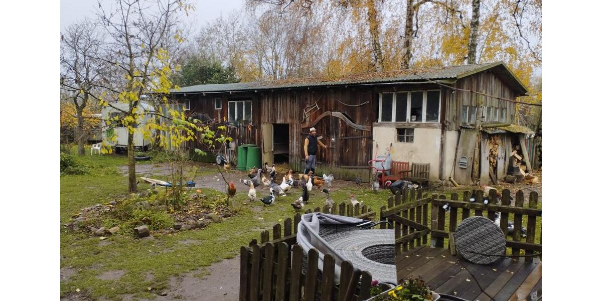 Etagenwohnung Chorin - 3 Zimmer, 35 m&sup2;, 400&euro; | Angebot:26420489
