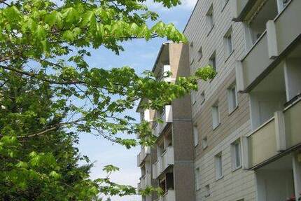 Wohnung Schkeuditz Altscherbitz - 3 Zimmer, 60 m&sup2;, 540&euro; | Angebot:20949989