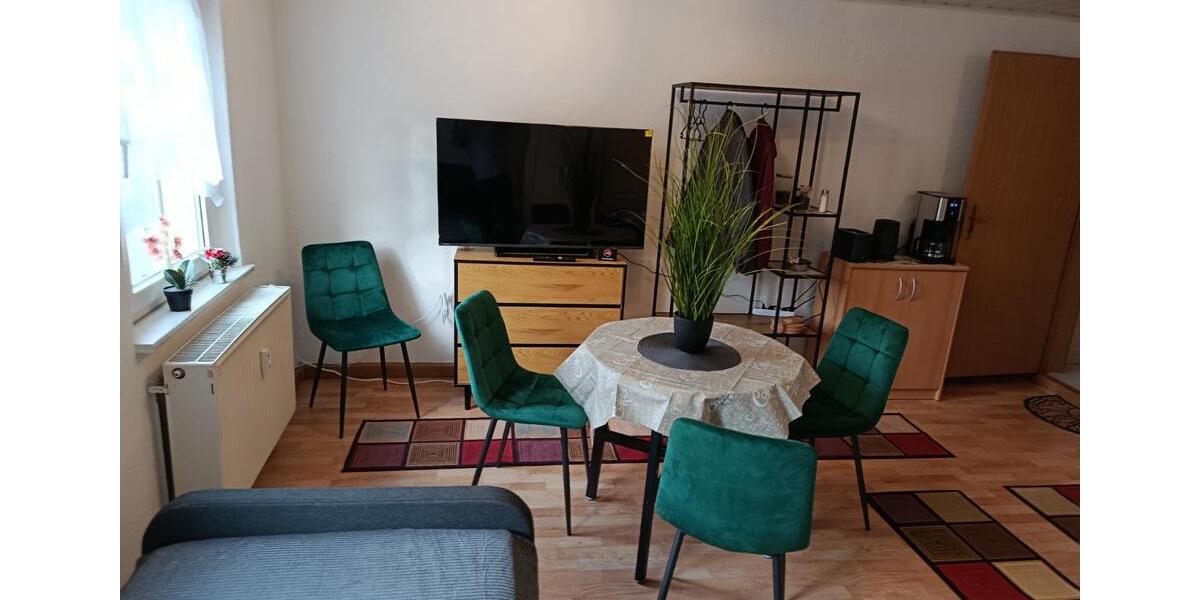 Wohnen auf Zeit Freiberg - 1 Zimmer, 28 m&sup2;, 600&euro; | Angebot:23804237