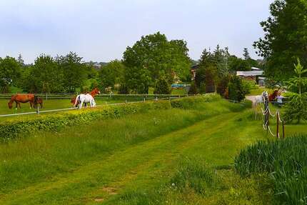 Wohnung zum Mieten in Helbra 315 € 44.67 m² 2 zimmer