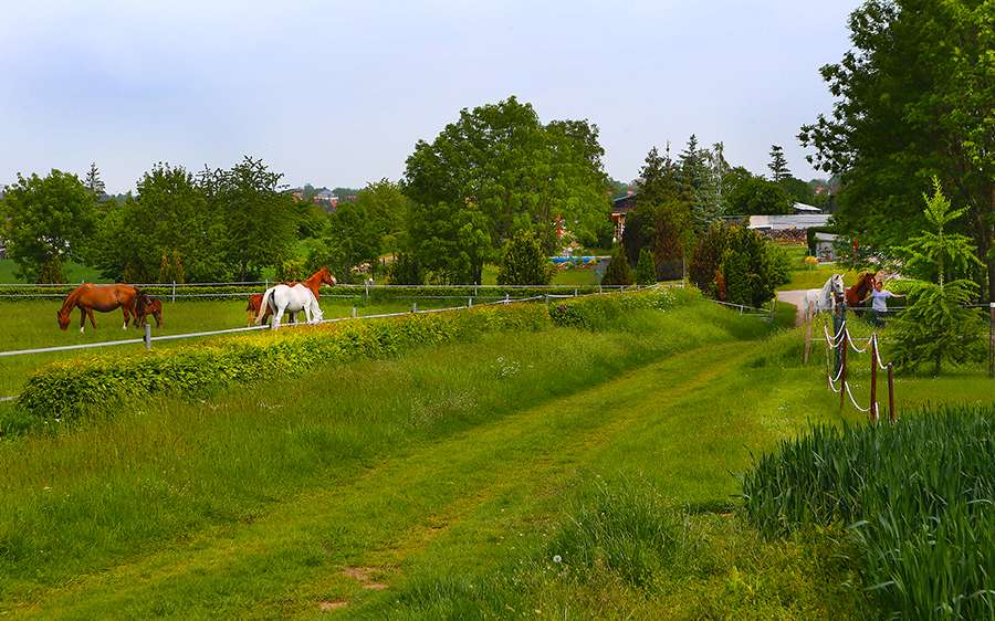 Wohnung zum Mieten in Helbra 315 € 44.67 m² 2 zimmer