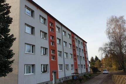 Wohnung Blankensee - 2 Zimmer, 48 m&sup2;, 295&euro; | Angebot:25073449