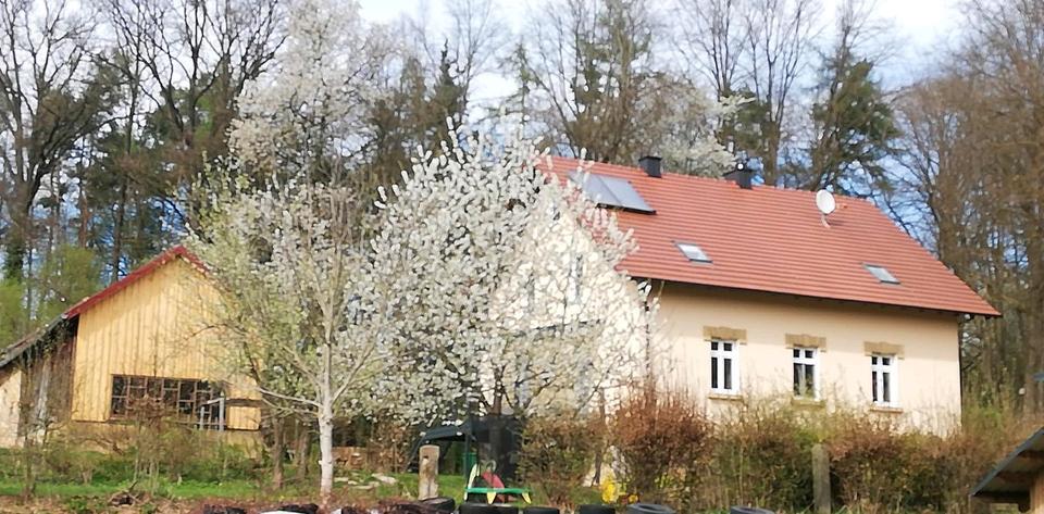 Ferienhaus für 8 Personen Urlaub Fewo Bayern Oberpfalz