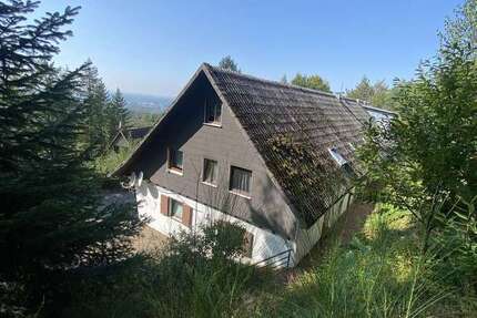 Wohnung zum Mieten in Lauf 400 € 33 m²