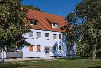 Wohnung zum Mieten in Minden 409 € 50.3 m²