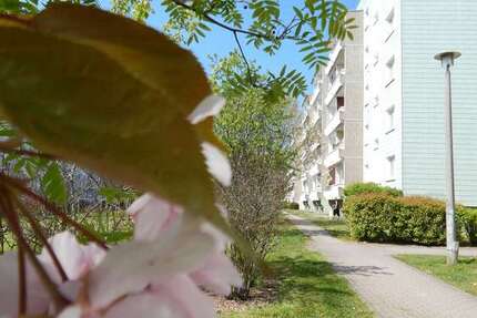 Wohnung Schkeuditz Altscherbitz - 3 Zimmer, 60 m&sup2;, 540&euro; | Angebot:27299610