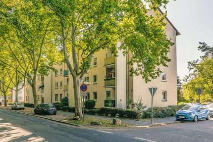 Wohnung Frankenthal (Pfalz) Frankenthal Kernstadt - 2 Zimmer, 45 m&sup2;, 509&euro; | Angebot:25272511