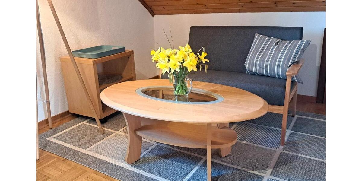 Wohnen auf Zeit Wolfsburg Ehmen - 1 Zimmer, 16 m&sup2;, 305&euro; | Angebot:26443587