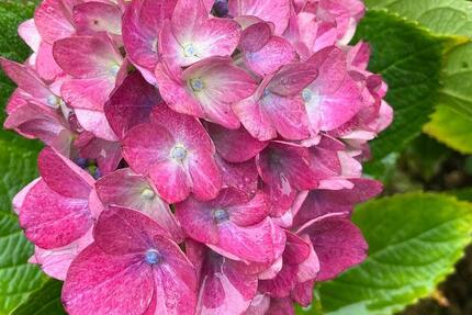 Wohnung Neumünster - 5 Zimmer, 132 m&sup2;, 1.199&euro; | Angebot:24730894