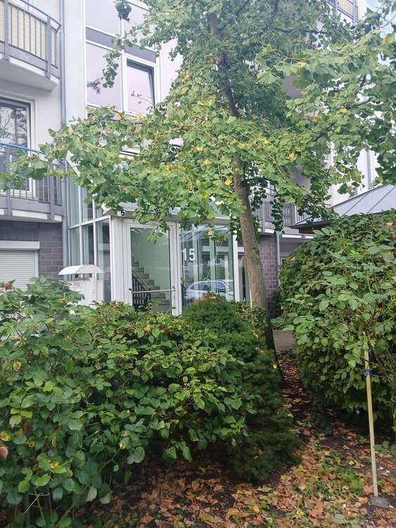Wohnung zum Mieten in Magdeburg 450 € 47.35 m²