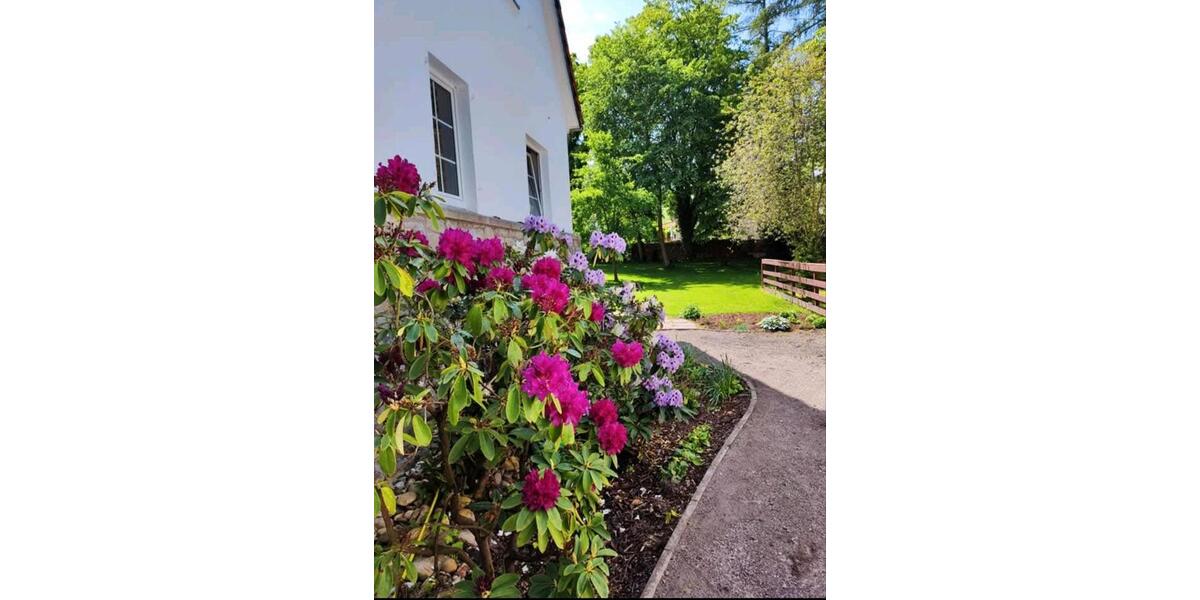 Einfamilienhaus Friedland - 6.5 Zimmer, 220 m&sup2;, 2.250&euro; | Angebot:26197204