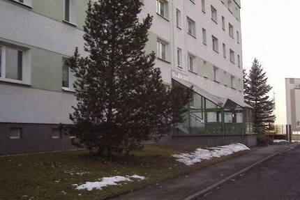 1-Raum-Wohnung, ideal für Berufseinsteiger, Single 1 zimmer