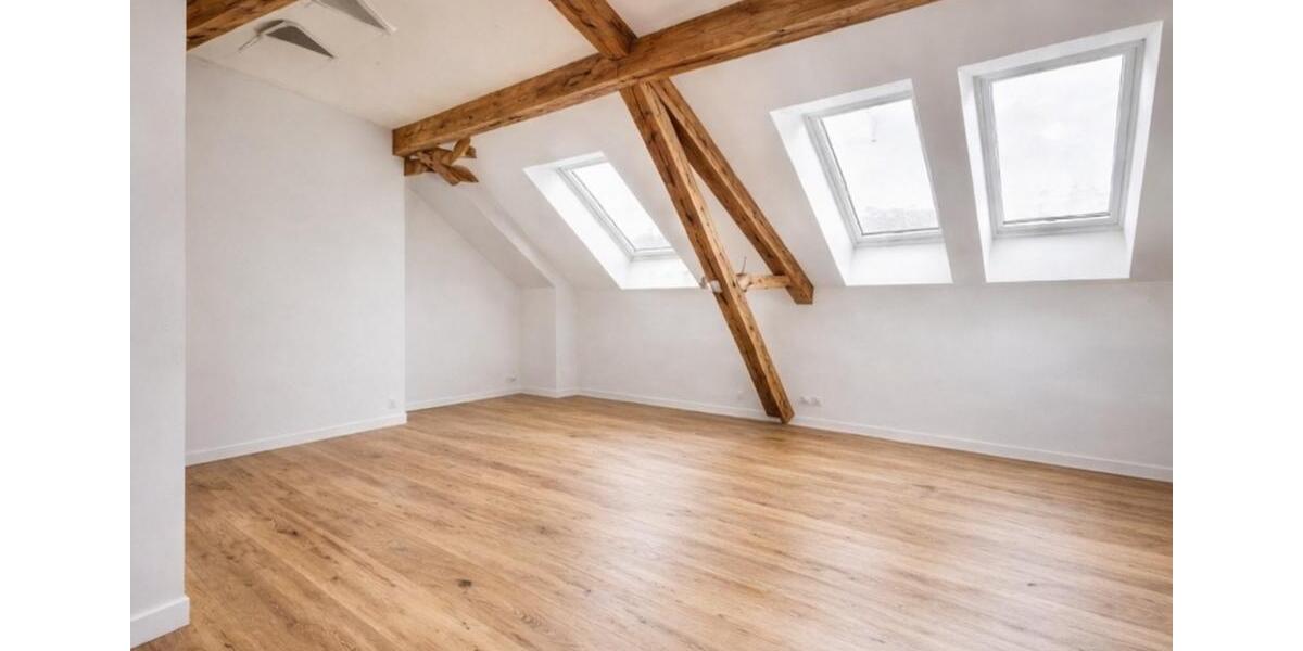 kernsaniertes 1-Zimmer-Apartment mit Loft-Charakter 1 zimmer