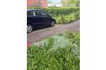 Hochparterre Neuruppin Alt Ruppin - 2 Zimmer, 91 m&sup2;, 997&euro; | Angebot:26481413